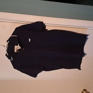 Hollister Icon Polo shirt.